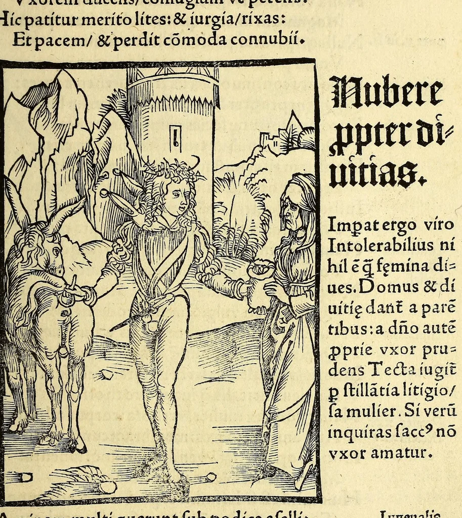 An illustration from Stultifera nauis : Narragonice p[ro]fect[i]onis nunq[uam] satis laudata nauis:, leaf 129