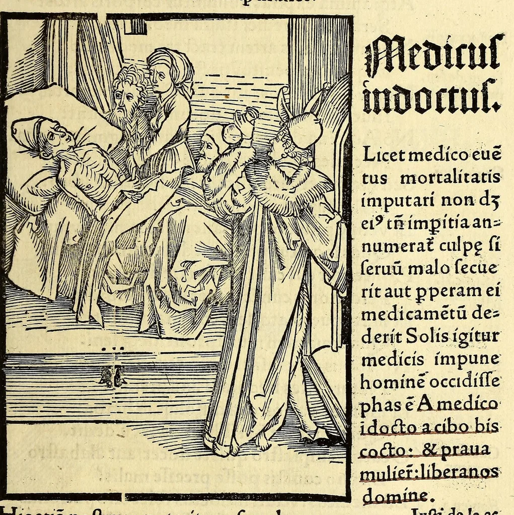 An illustration from Stultifera nauis : Narragonice p[ro]fect[i]onis nunq[uam] satis laudata nauis:, leaf 135