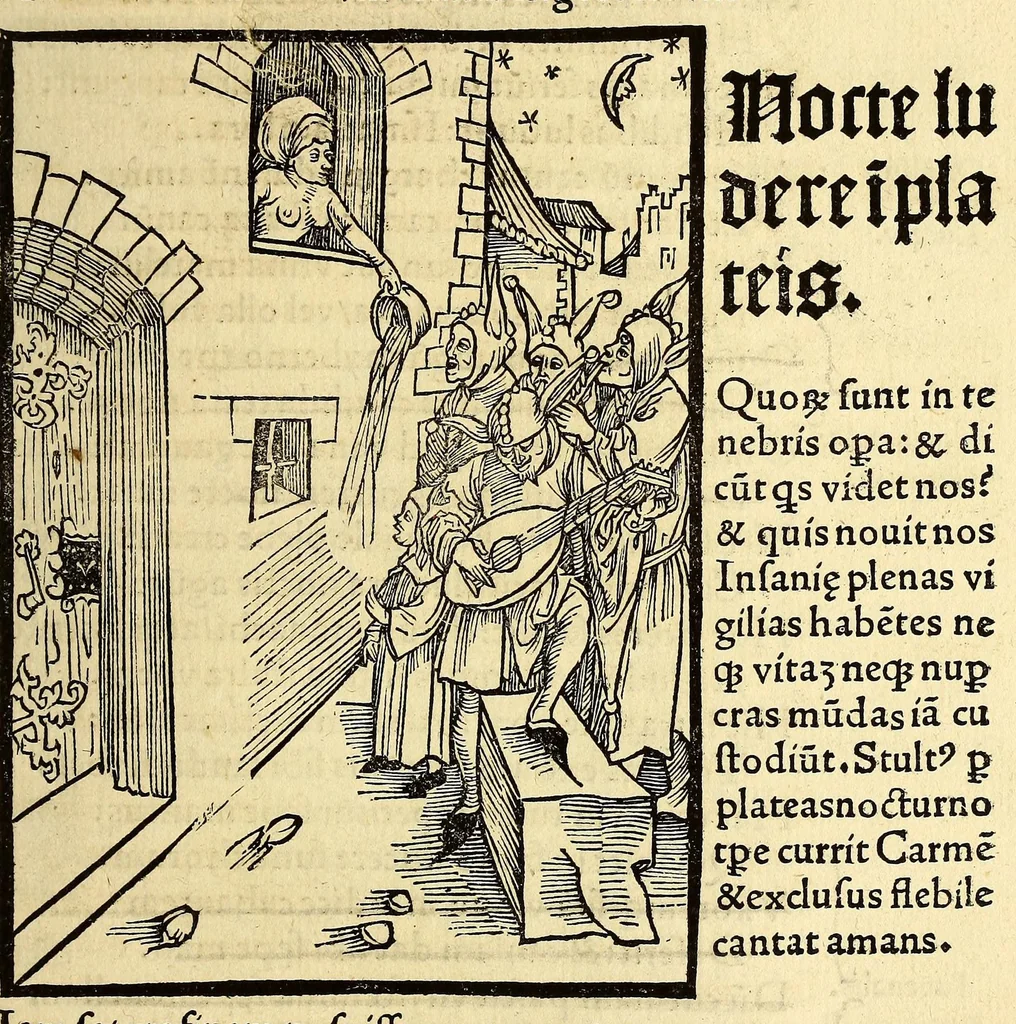 An illustration from Stultifera nauis : Narragonice p[ro]fect[i]onis nunq[uam] satis laudata nauis:, leaf 149