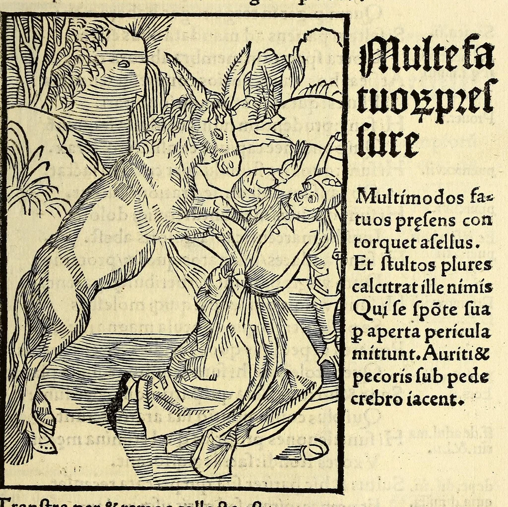 An illustration from Stultifera nauis : Narragonice p[ro]fect[i]onis nunq[uam] satis laudata nauis:, leaf 181