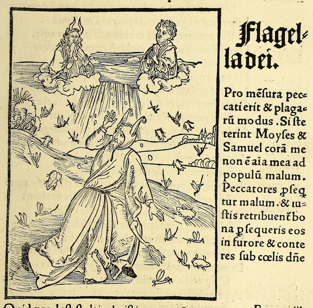 An illustration from Stultifera nauis : Narragonice p[ro]fect[i]onis nunq[uam] satis laudata nauis:, leaf 205