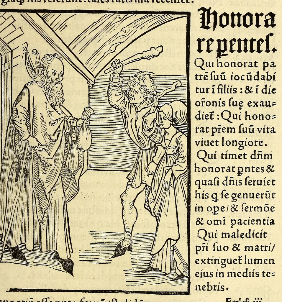 An illustration from Stultifera nauis : Narragonice p[ro]fect[i]onis nunq[uam] satis laudata nauis:, leaf 209