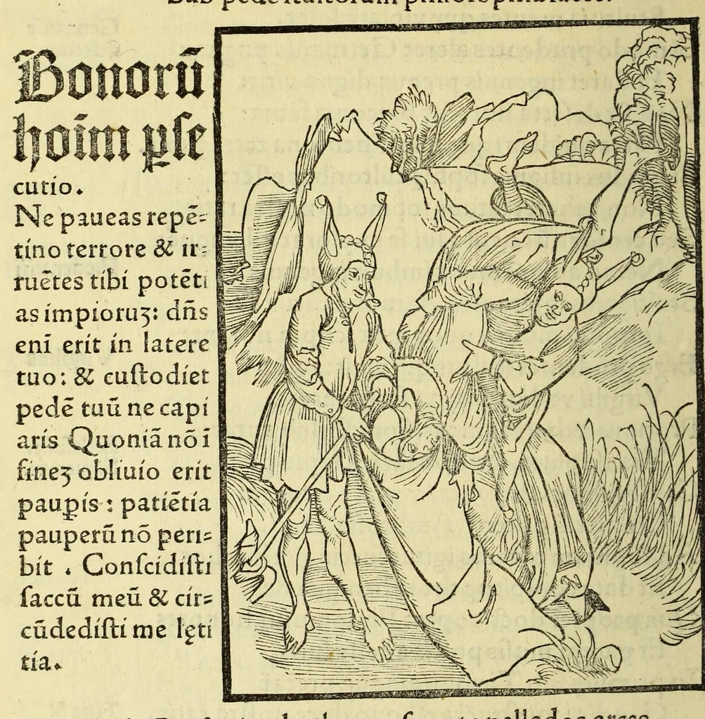 An illustration from Stultifera nauis : Narragonice p[ro]fect[i]onis nunq[uam] satis laudata nauis:, leaf 268