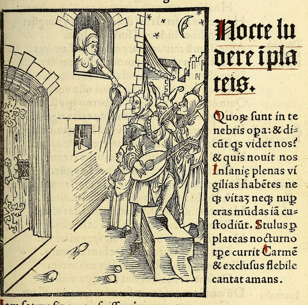An illustration from Stultifera nauis. : narragonice p[ro]fectionis nunq[uam] satis laudata nauis:, leaf 149