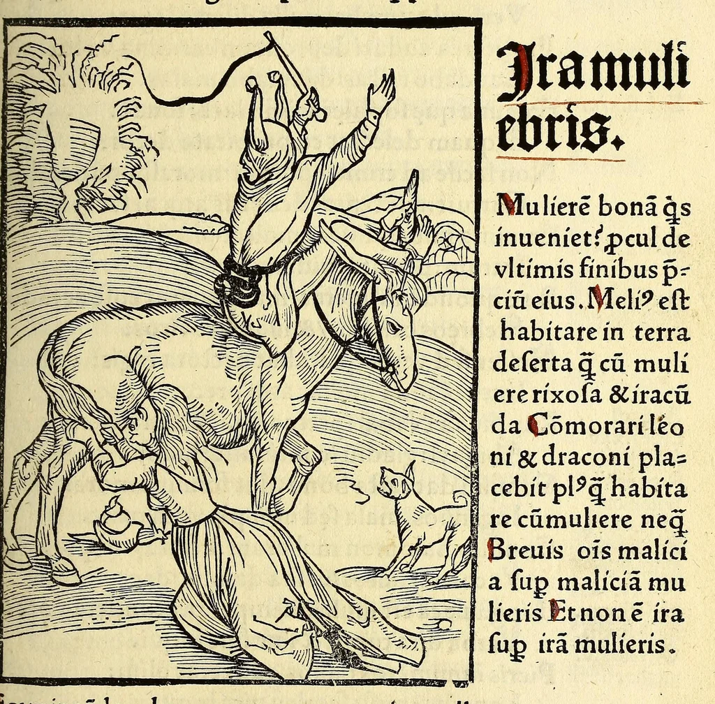 An illustration from Stultifera nauis. : narragonice p[ro]fectionis nunq[uam] satis laudata nauis:, leaf 153