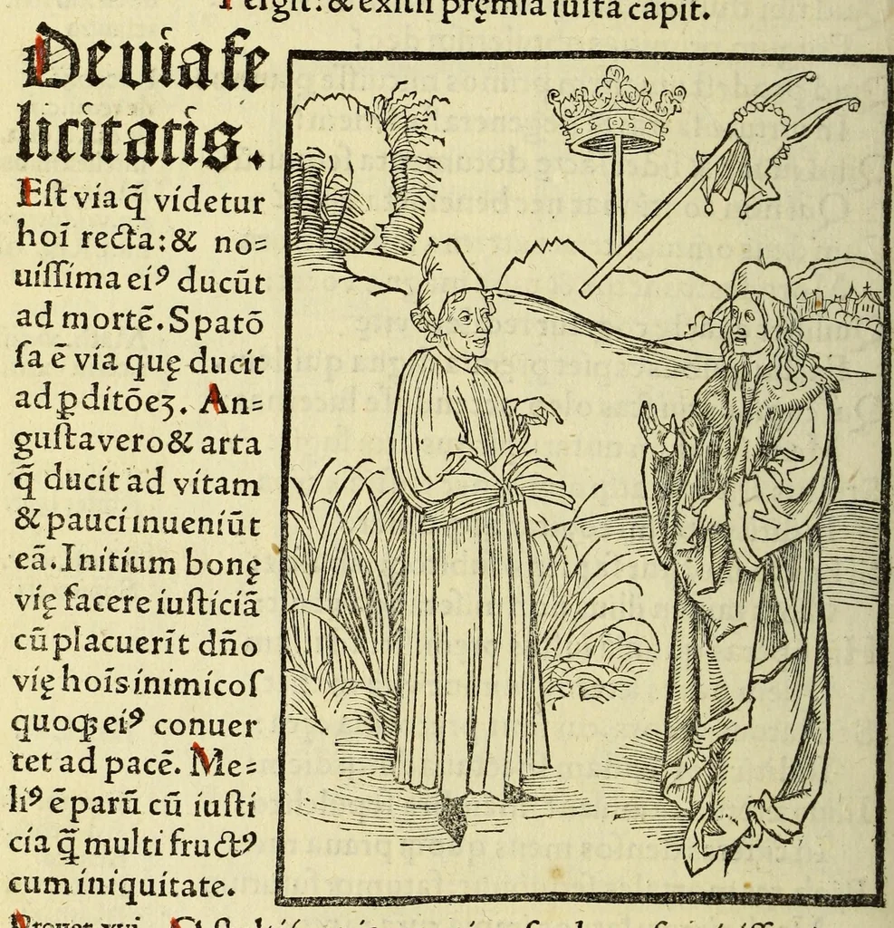 An illustration from Stultifera nauis. : narragonice p[ro]fectionis nunq[uam] satis laudata nauis:, leaf 252