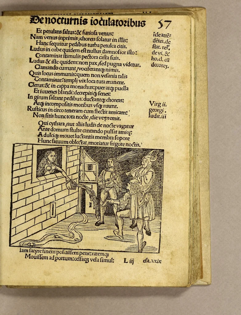 An illustration from Stultifera nauis : Narragonice p[ro]fectio[n]is nunq[uam] satis laudata nauis., leaf 109