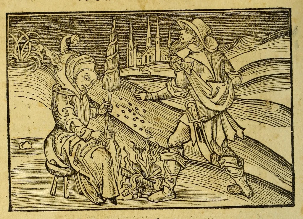 An illustration from Stultifera nauis : Narragonice p[ro]fectio[n]is nunq[uam] satis laudata nauis., leaf 166