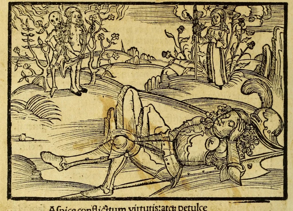 An illustration from Stultifera nauis : Narragonice p[ro]fectio[n]is nunq[uam] satis laudata nauis., leaf 202