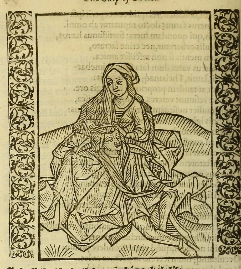 An illustration from Stultifera Nauis, : qua omnium mortalium narratur stultitia, admodum vtilis [et] necessaria ab omnibus ad suam salutem perlegenda,, 1570, leaf 218