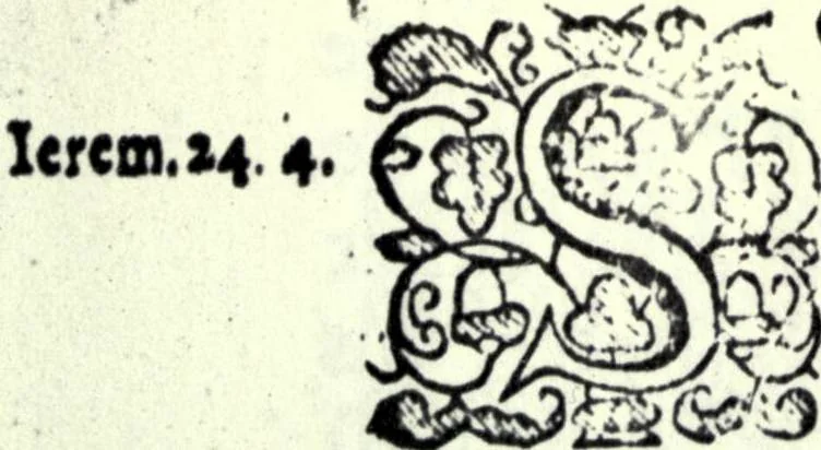 An illustration from The stumbling-block of disobedience and rebellion, cunningly laid by Calvin in the subjects way, discovered, censured, and removed, 1658, leaf 16