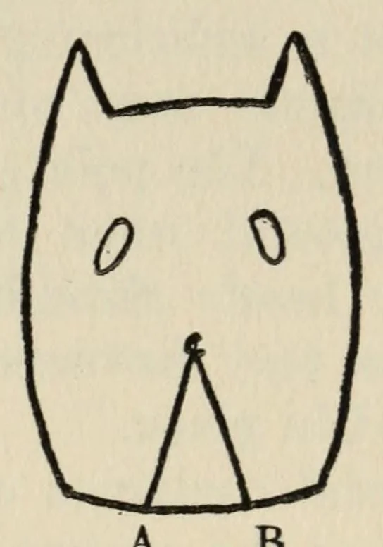 An illustration from Stunt night tonight!, 1928, leaf 59