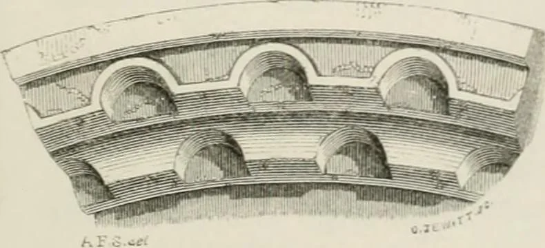 An illustration from An attempt to discriminate the styles of architecture in England : from the Conquest to the Reformation : with a sketch of the Grecian and Roman orders : notices of numerous British edifices :and some remarks on the architecture of a part of France, 1848, leaf 138