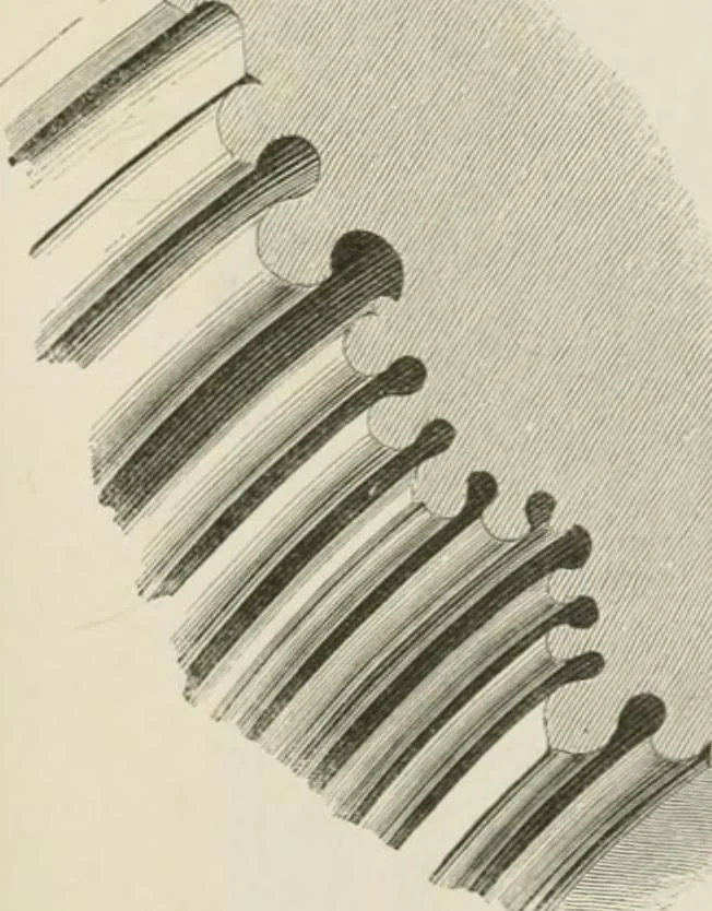 An illustration from An attempt to discriminate the styles of architecture in England : from the Conquest to the Reformation : with a sketch of the Grecian and Roman orders : notices of numerous British edifices :and some remarks on the architecture of a part of France, 1848, leaf 186