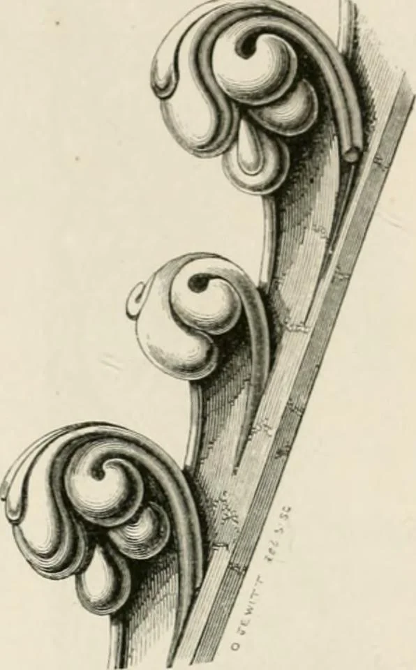 An illustration from An attempt to discriminate the styles of architecture in England : from the Conquest to the Reformation : with a sketch of the Grecian and Roman orders : notices of numerous British edifices :and some remarks on the architecture of a part of France, 1848, leaf 193