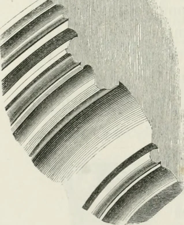 An illustration from An attempt to discriminate the styles of architecture in England : from the Conquest to the Reformation : with a sketch of the Grecian and Roman orders : notices of numerous British edifices :and some remarks on the architecture of a part of France, 1848, leaf 261