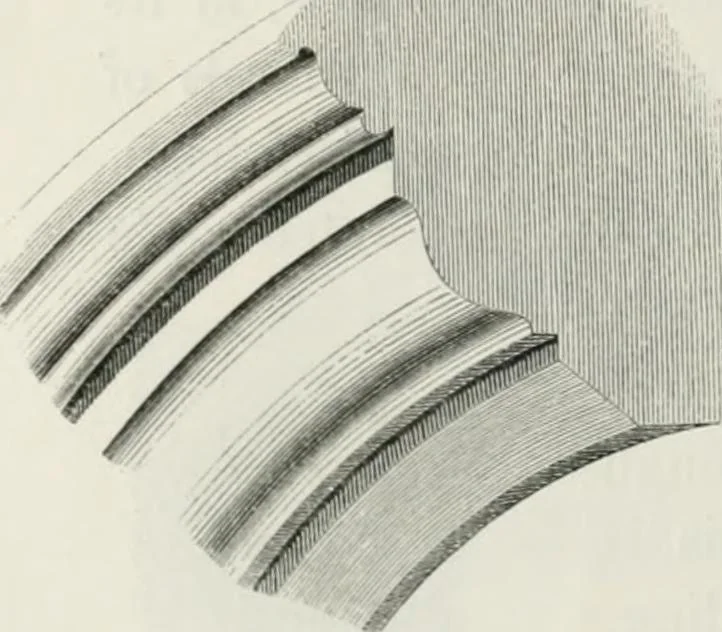 An illustration from An attempt to discriminate the styles of architecture in England : from the Conquest to the Reformation : with a sketch of the Grecian and Roman orders : notices of numerous British edifices :and some remarks on the architecture of a part of France, 1848, leaf 261