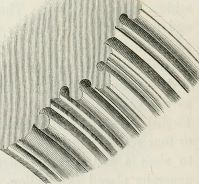 An illustration from An attempt to discriminate the styles of architecture in England : from the Conquest to the Reformation : with a sketch of the Grecian and Roman orders : notices of numerous British edifices :and some remarks on the architecture of a part of France, 1848, leaf 261
