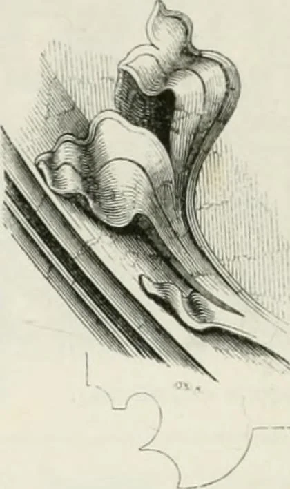 An illustration from An attempt to discriminate the styles of architecture in England : from the Conquest to the Reformation : with a sketch of the Grecian and Roman orders : notices of numerous British edifices :and some remarks on the architecture of a part of France, 1848, leaf 265