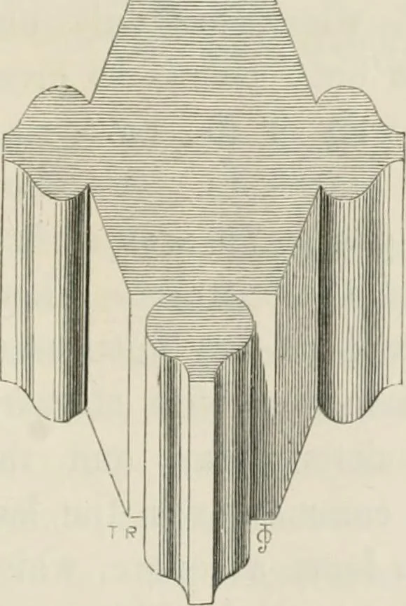 An illustration from An attempt to discriminate the styles of architecture in England : from the Conquest to the Reformation : with a sketch of the Grecian and Roman orders : notices of numerous British edifices :and some remarks on the architecture of a part of France, 1848, leaf 310