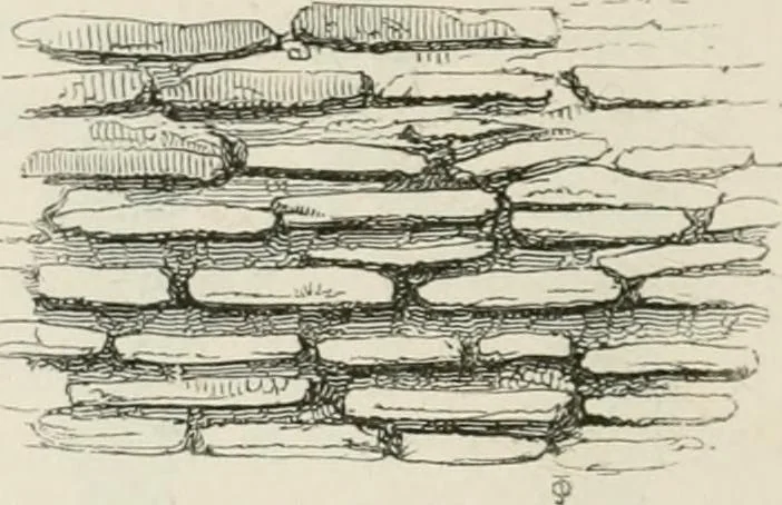 An illustration from An attempt to discriminate the styles of architecture in England : from the Conquest to the Reformation : with a sketch of the Grecian and Roman orders : notices of numerous British edifices :and some remarks on the architecture of a part of France, 1848, leaf 391