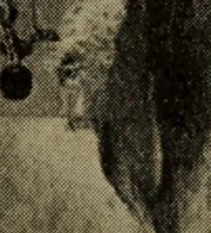 An illustration from Submarines, mines and torpedoes in the war, 1914, leaf 72
