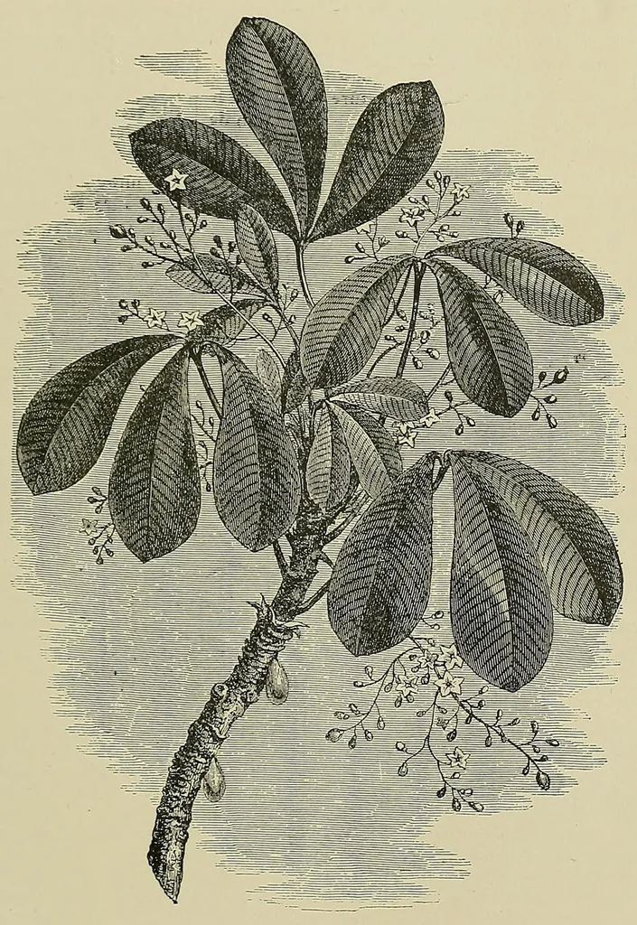 An illustration from Submarine telegraphs; their history, construction, and working. Founded in part on Wèunschendorff's 'Traitâe de tâelegraphie sous-marine' and compiled from authoritative and exclusive sources, 1898, leaf 431