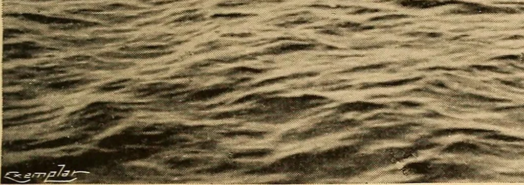 An illustration from Submarine warfare, past, present and future, 1902, leaf 84