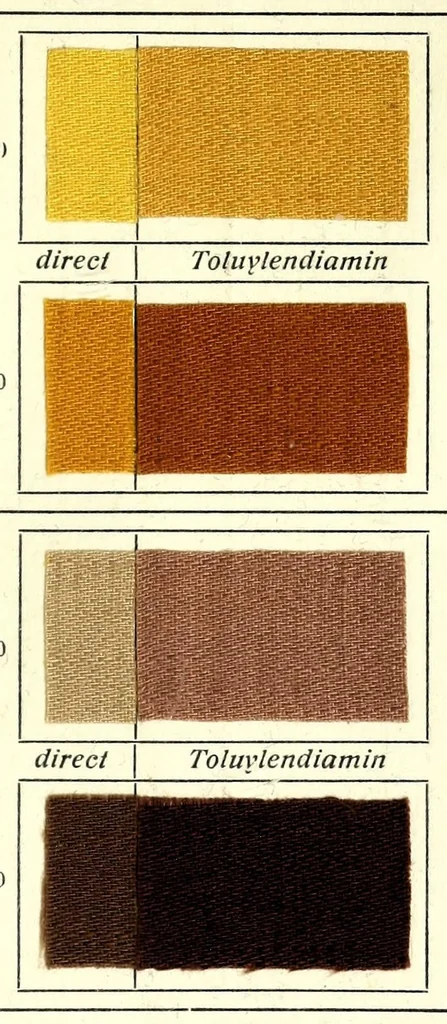 An illustration from Substantive Farbstoffe auf Baumwoll-Stückware. Band II : Entwicklungs- und Nachbehandlungs-Farbstoffe = Substantive colours on cotton piece goods. Volume II : dyestuffs for developing and for after-treatment, 1920, leaf 49