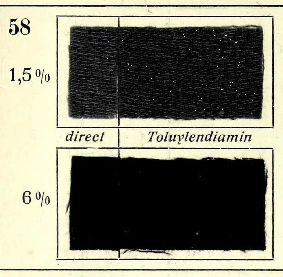 An illustration from Substantive Farbstoffe auf Baumwoll-Stückware. Band II : Entwicklungs- und Nachbehandlungs-Farbstoffe = Substantive colours on cotton piece goods. Volume II : dyestuffs for developing and for after-treatment, 1920, leaf 51