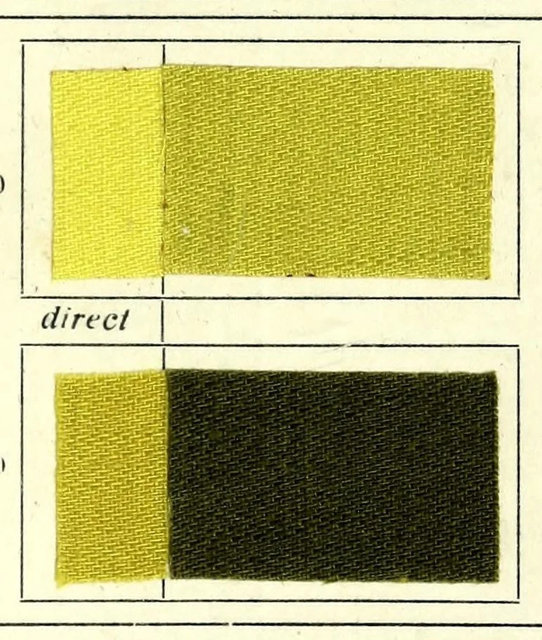 An illustration from Substantive Farbstoffe auf Baumwoll-Stückware. Band II : Entwicklungs- und Nachbehandlungs-Farbstoffe = Substantive colours on cotton piece goods. Volume II : dyestuffs for developing and for after-treatment, 1920, leaf 57