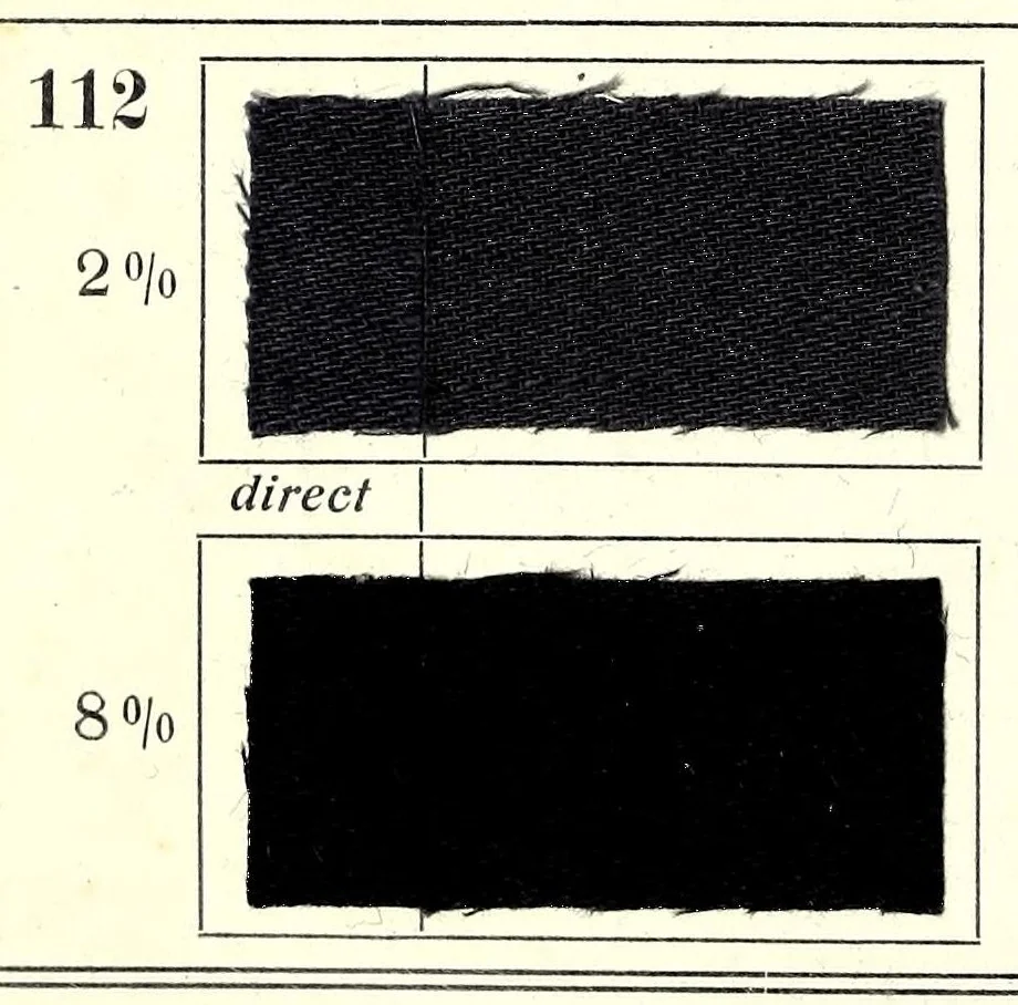 An illustration from Substantive Farbstoffe auf Baumwoll-Stückware. Band II : Entwicklungs- und Nachbehandlungs-Farbstoffe = Substantive colours on cotton piece goods. Volume II : dyestuffs for developing and for after-treatment, 1920, leaf 64