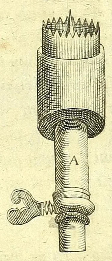 An illustration from Succenturiatus anatomicus : continens commentaria in Hippocratem : De capitis vulneribus :, 1616, leaf 283