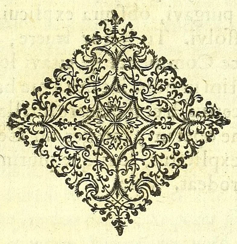 An illustration from Succenturiatus anatomicus : continens commentaria in Hippocratem : De capitis vulneribus :, 1616, leaf 305