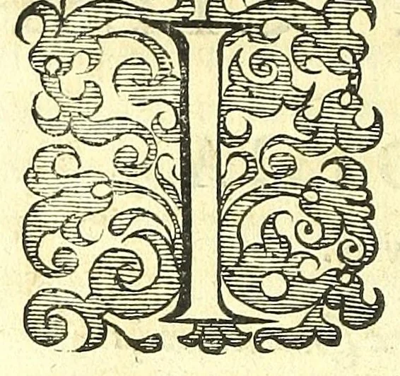 An illustration from Succenturiatus anatomicus : continens commentaria in Hippocratem : De capitis vulneribus :, 1616, leaf 306