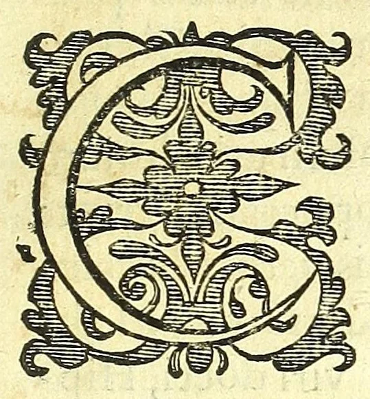 An illustration from Succenturiatus anatomicus : continens commentaria in Hippocratem : De capitis vulneribus :, 1616, leaf 307
