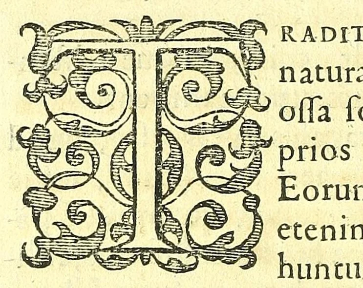 An illustration from Succenturiatus anatomicus : continens commentaria in Hippocratem : De capitis vulneribus :, 1616, leaf 372