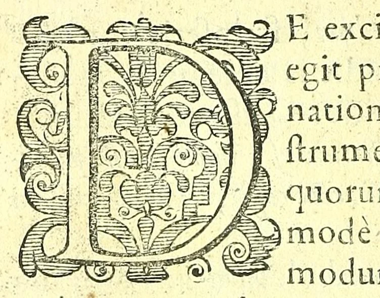 An illustration from Succenturiatus anatomicus : continens commentaria in Hippocratem : De capitis vulneribus :, 1616, leaf 388