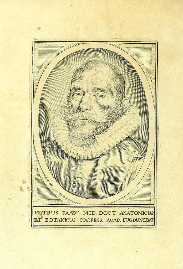 An illustration from Succenturiatus anatomicus : continens commentaria in Hippocratem : De capitis vulneribus :, 1616, leaf 8