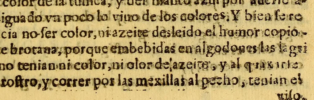 An illustration from Sudor, y lagrimas de Maria Santissima en su santa imagen de la Misericordia. : Reconocidas a 29. de setiembre dia del Arcangel S. Miguel año de 1675. Veneradas en la Capilla de Loreto de la Iglesia de la Compañia de Jesus en el Presidio, y Puerto del Callao. Segun consta del processo juridico hecho ante el juez ordinario de orden del ilustrissimo y reuerendissimo señor D. Fr. Juan de Almoguera ar{u0063}obispo de Lima del consejo de su Magestad. Que escribe ... la noble Congregacion de la SS. Virgen de Loreto del Puerto del Callao., 1676, leaf 31