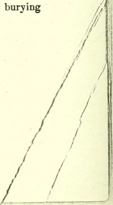 An illustration from Suffolk deeds, 1653, leaf 743