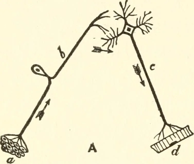 An illustration from Suggestion and psychotherapy, 1912, leaf 41