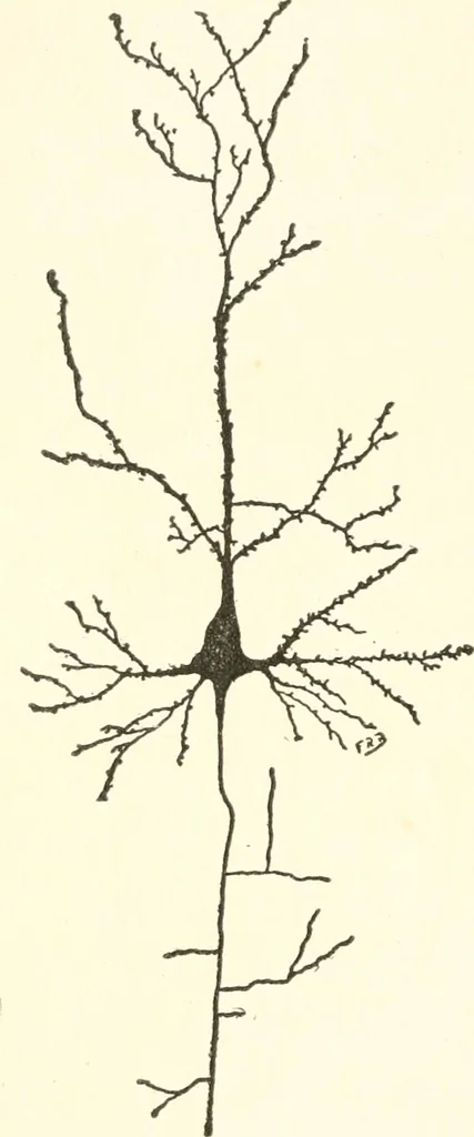 An illustration from Suggestion and psychotherapy, 1912, leaf 45