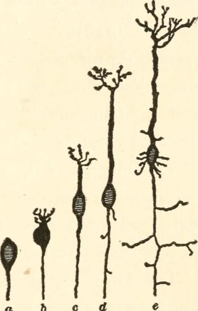 An illustration from Suggestion and psychotherapy, 1912, leaf 46