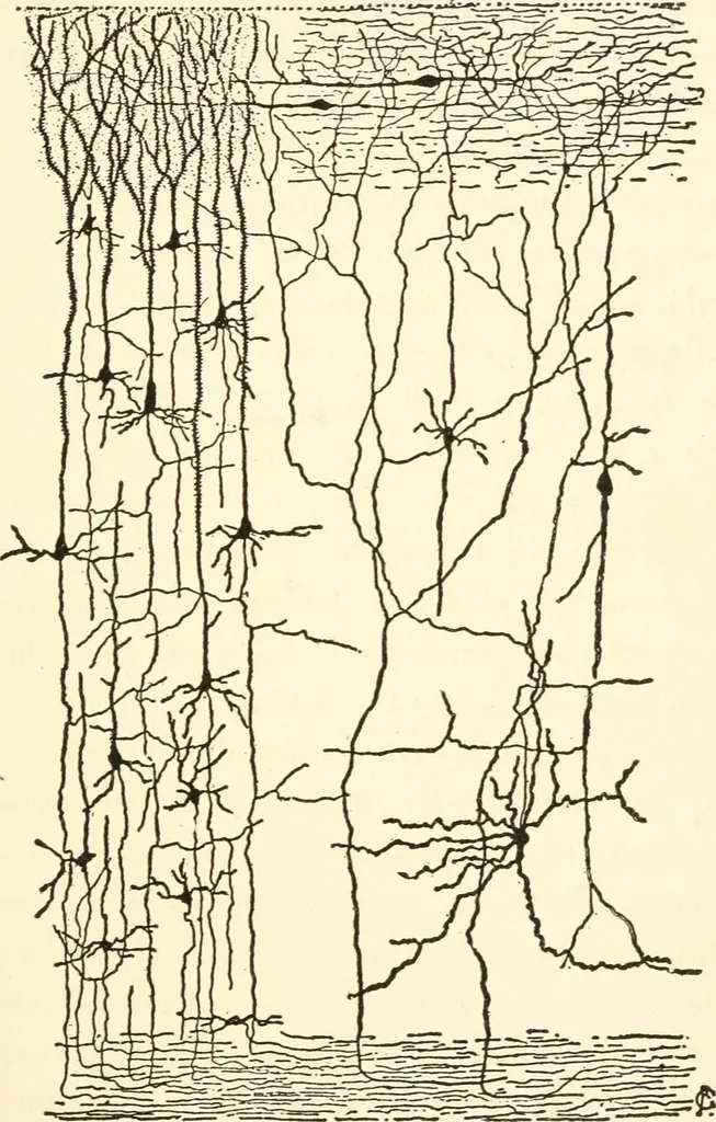 An illustration from Suggestion and psychotherapy, 1912, leaf 48