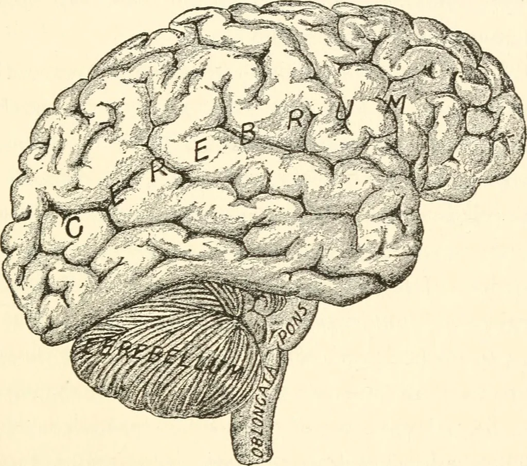 An illustration from Suggestion and psychotherapy, 1912, leaf 50