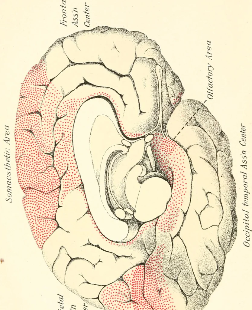 An illustration from Suggestion and psychotherapy, 1912, leaf 55