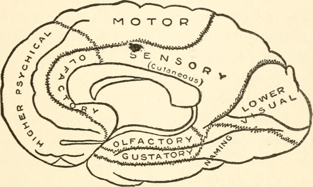 An illustration from Suggestion and psychotherapy, 1912, leaf 58