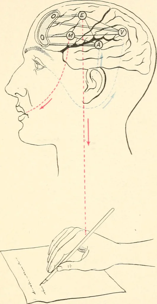 An illustration from Suggestion and psychotherapy, 1912, leaf 60