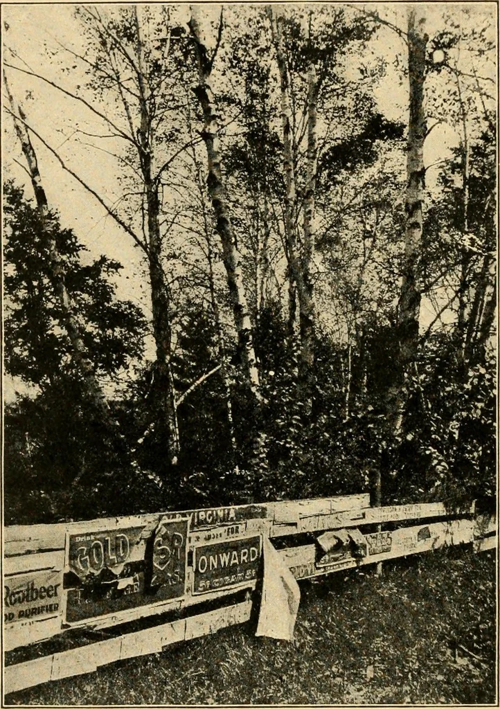 An illustration from Suggestions for beautifying home, village and roadway, 1900, leaf 11
